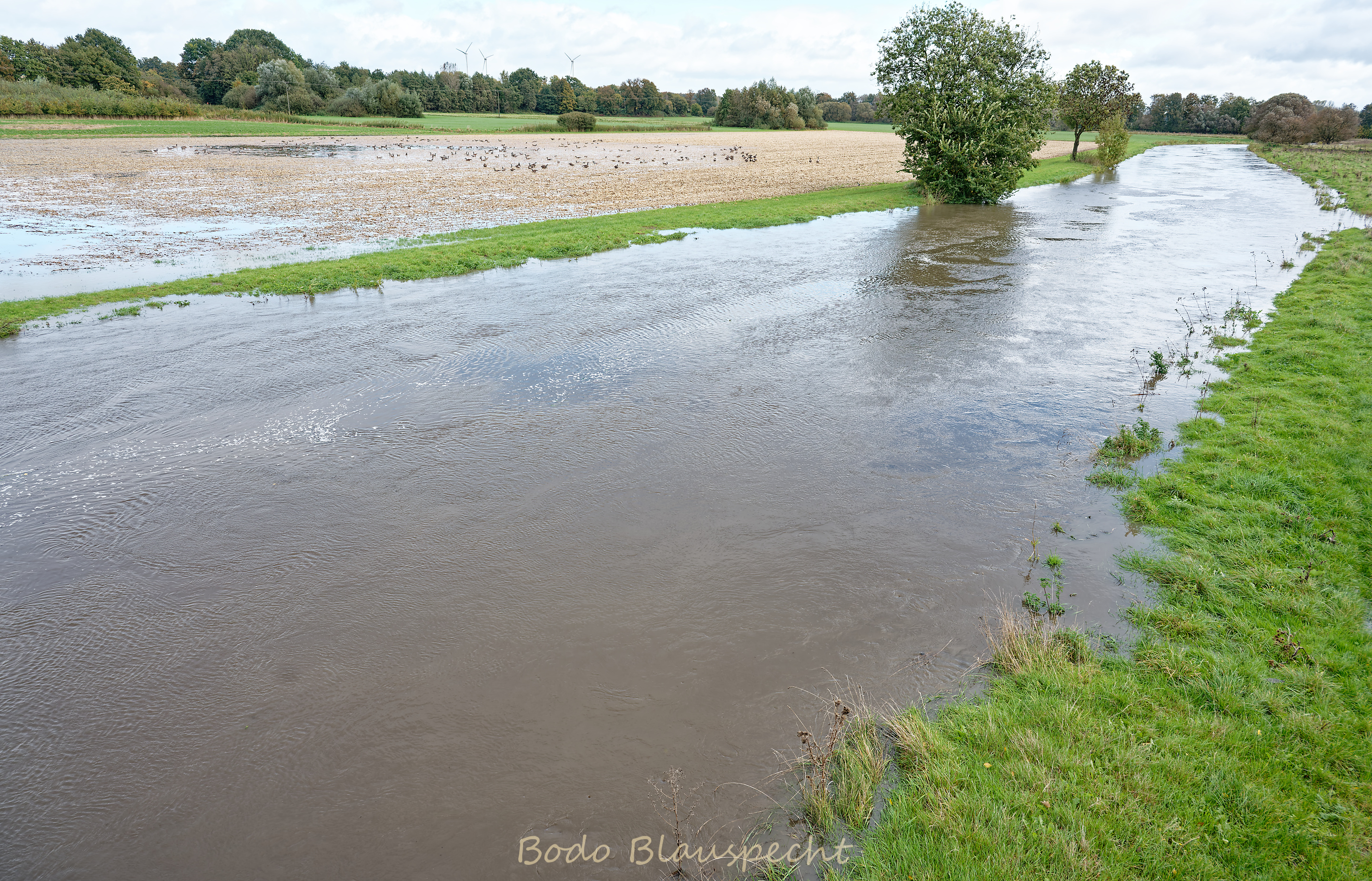 Hochwasser   Steveraue   2024.10.10 12.52 191 WEB